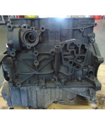 Blok silnika po regeneracji AVB, 1.9 TDI, Passat