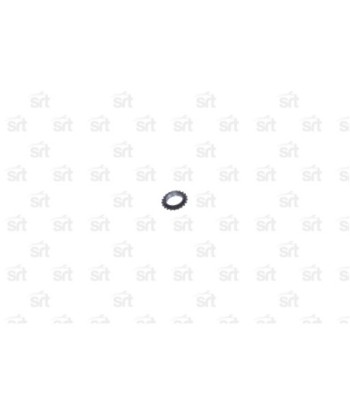 Bearing Z:21