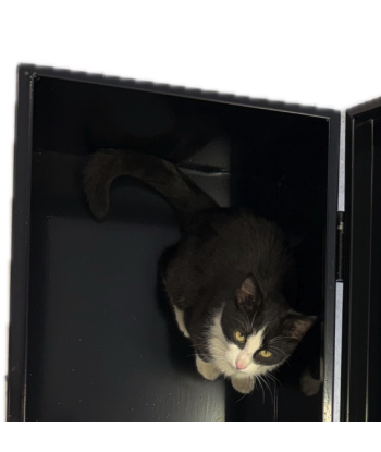 Skrzynia narzędziowa różnego przeznaczenia