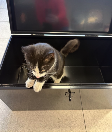 Skrzynia narzędziowa różnego przeznaczenia