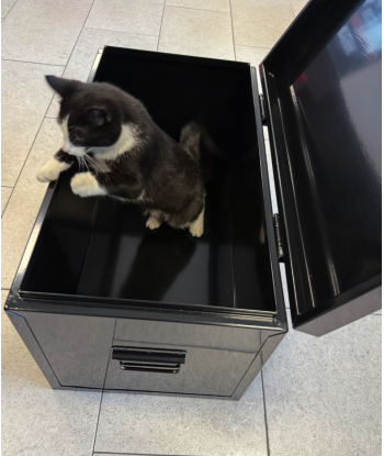 Skrzynia narzędziowa różnego przeznaczenia