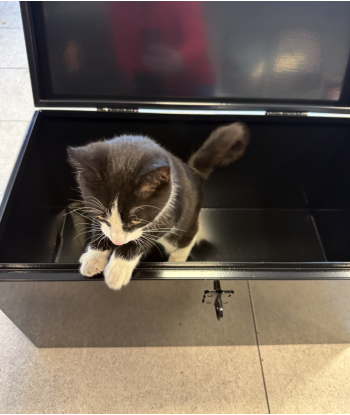 Skrzynia narzędziowa różnego przeznaczenia