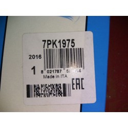 Pasek wielorowkowy DAYCO 7PK 1795